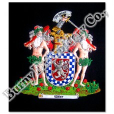 Coat of Arms Family Crests